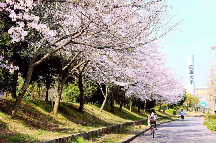 1671070666875258.jpeg 3.jpeg